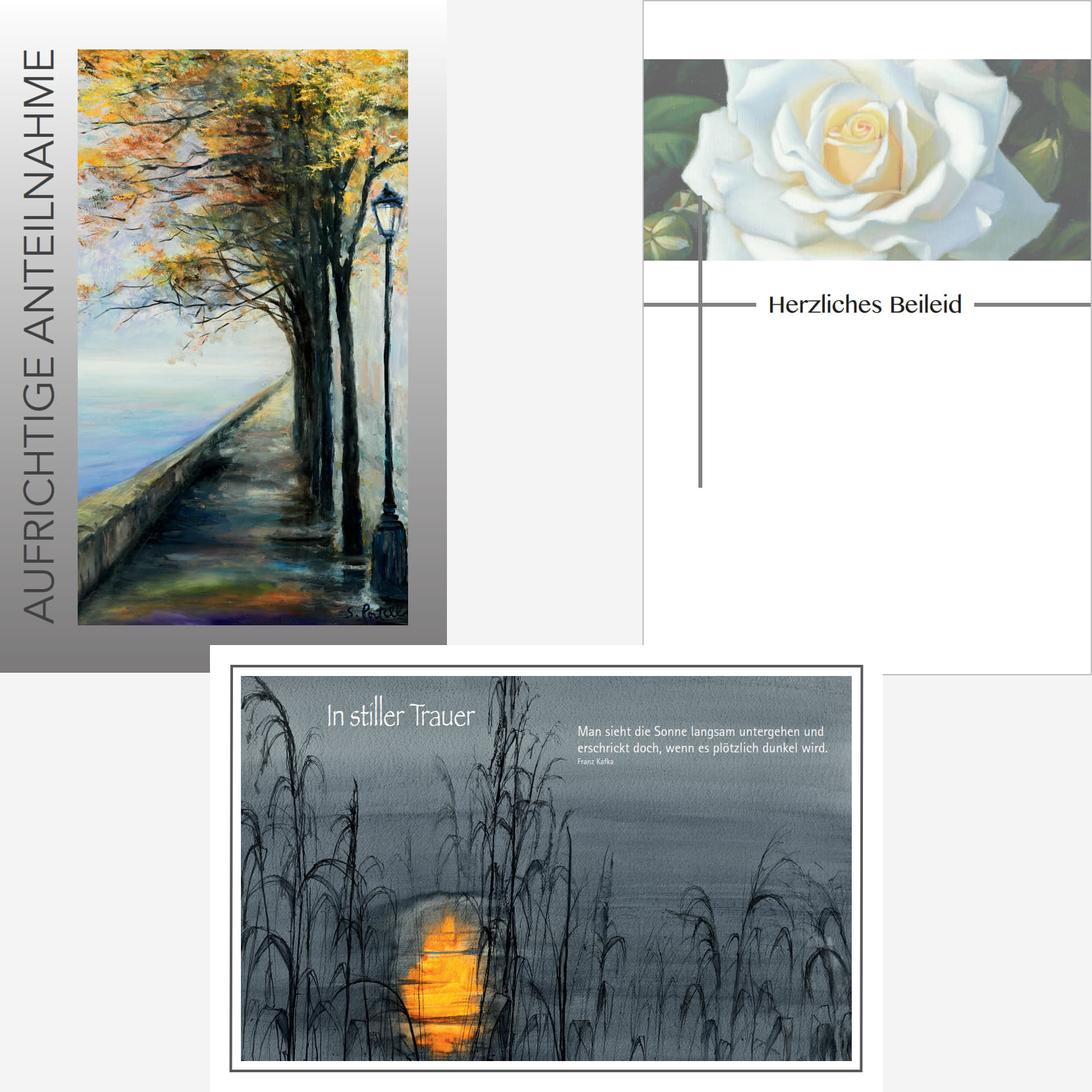 Beileidskarten-Set (12015) 3er-Set Beileidskarten, je 11,5 x 17,3 cm, mit Kondolenz-Umschlag; Motive: Herbstallee mit Laterne, weiße Rose mit Text "Herzliches Beileid", Sonnenuntergang hinter Gräsern mit Text "In stiller Trauer".
