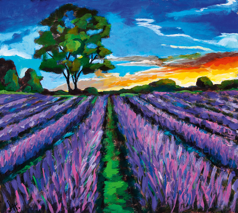Bild Lavendelfeld in der Provence
