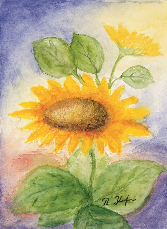 Bild Sonnenblume