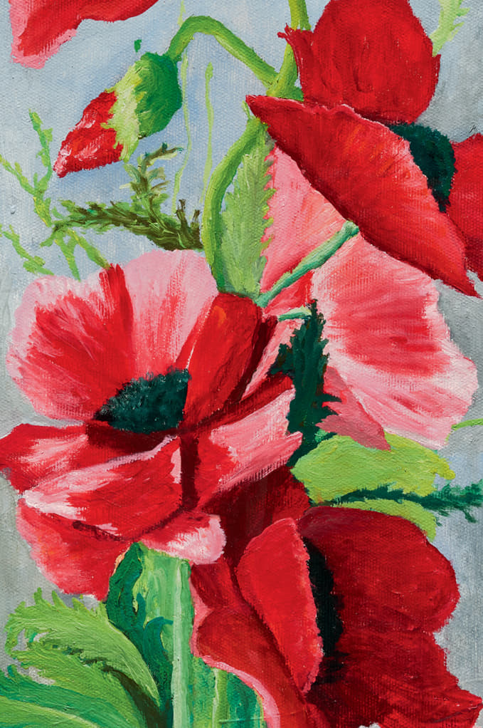 Mohnblüten 