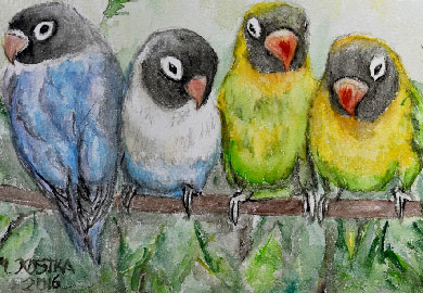 Aquarell-Gemälde von vier niedlichen Unzertrennlichen-Papageien auf einem Ast, zwei Vögel blau-weiß, zwei gelb-grün, mit schwarzem Kopf, lebendige Farben, Natur, ideales Motiv für Vogel-Liebhaber und Wanddeko.