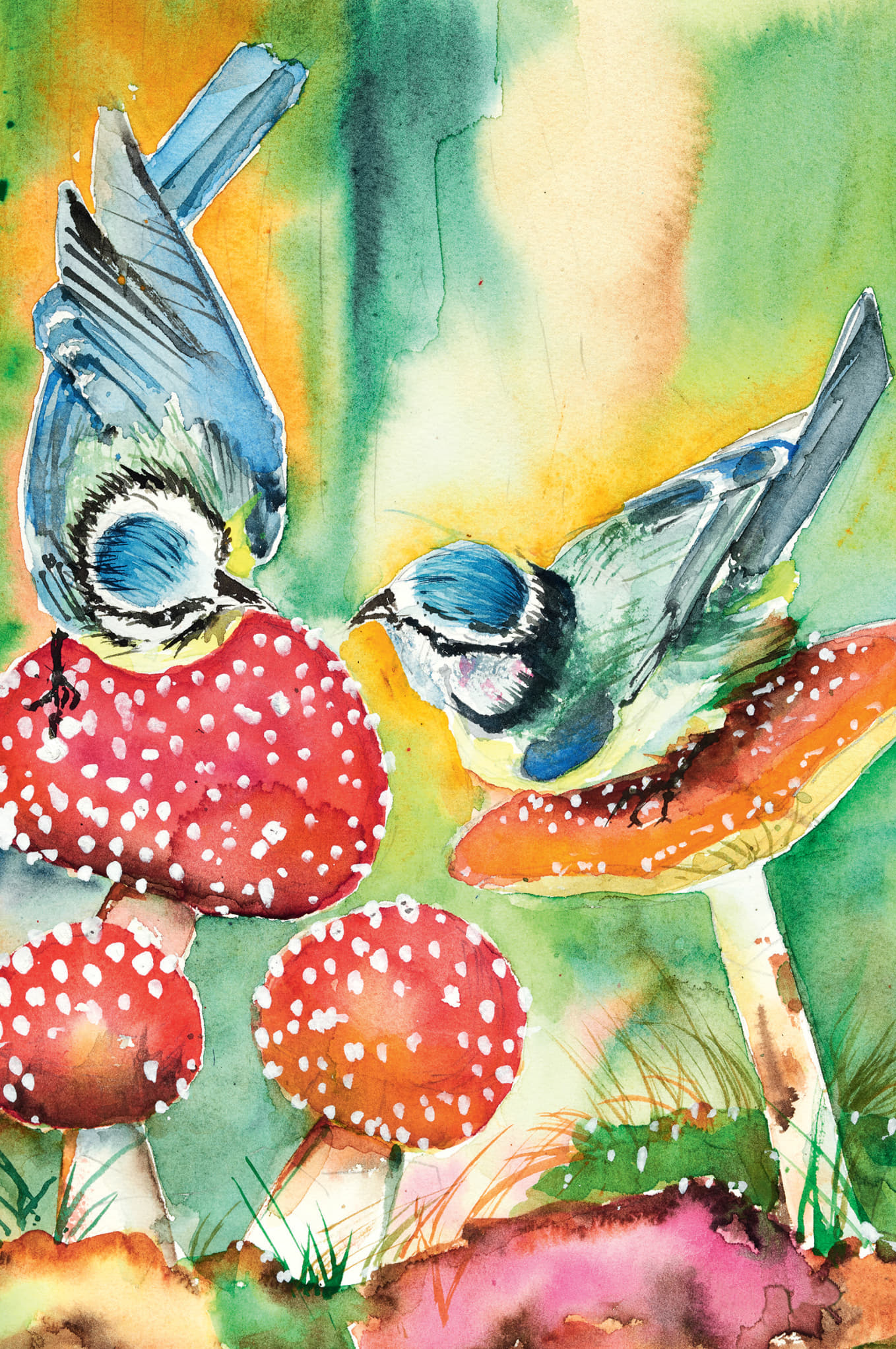 Meisenplauderei (2502) Farbenfrohe Doppelkarte Meisenplauderei von Mundmaler Tuck Chong Kok: Zwei Blaumeisen auf roten Fliegenpilzen, Aquarell-Stil, mit grün-gelbem Hintergrund, inkl. passendem Kuvert, ideal als Frühjahrskarte oder Kartenset.
