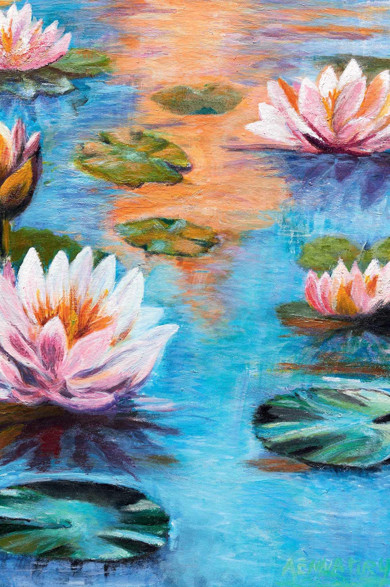 Schwimmende Eleganz auf spiegelndem Wasser. Rosa Blütenwunder entfalten sich zwischen schwimmenden Blättern, während türkisblaue Reflexe die stille Teichromantik vollenden.