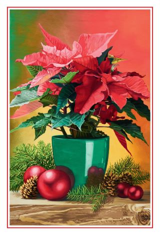 Weihnachtsstern (2118) Weihnachtsstern