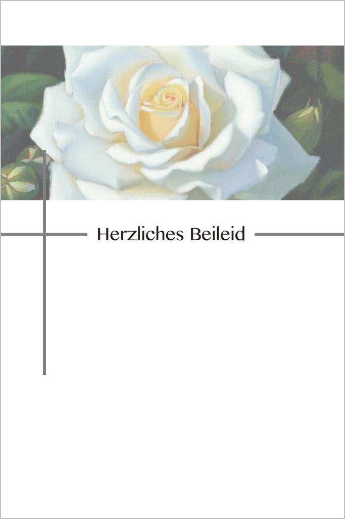 3er-Set Beileidskarten mit Umschlag, Motiv weiße Rose und Aufschrift „Herzliches Beileid“, Format 11,5 x 17,3 cm. Trauerkarte mit stilvoller Gestaltung für Kondolenz, Mitgefühl, Anteilnahme.