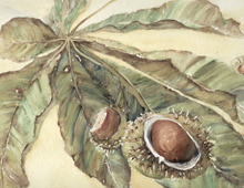 Bild Ausstellung im Advent alt tag of image
